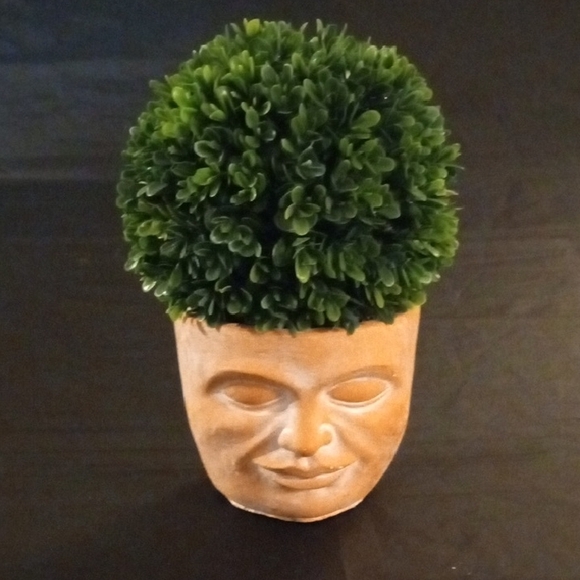 Unique Face Planter with Faux Greenery - Picture 1 of 5